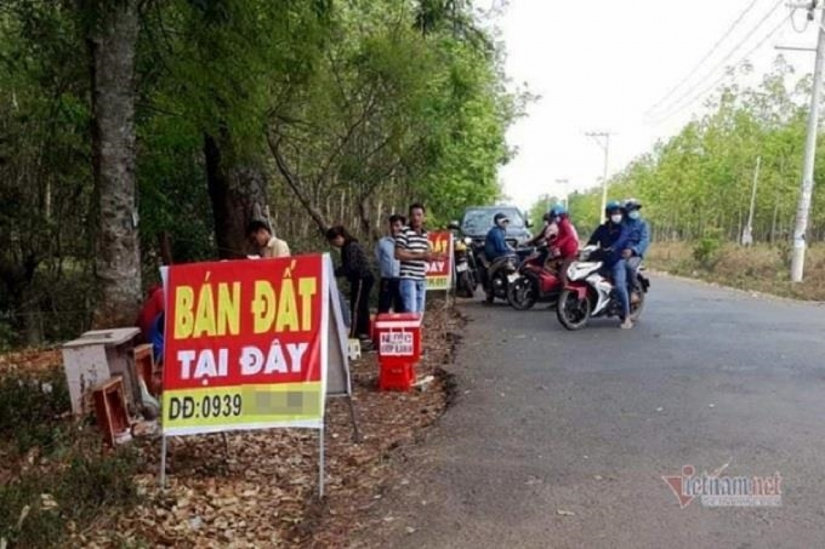 Nhiều kịch bản được dựng sẵn phía sau những cơn sốt đất. (Ảnh minh họa: VietnamNet)