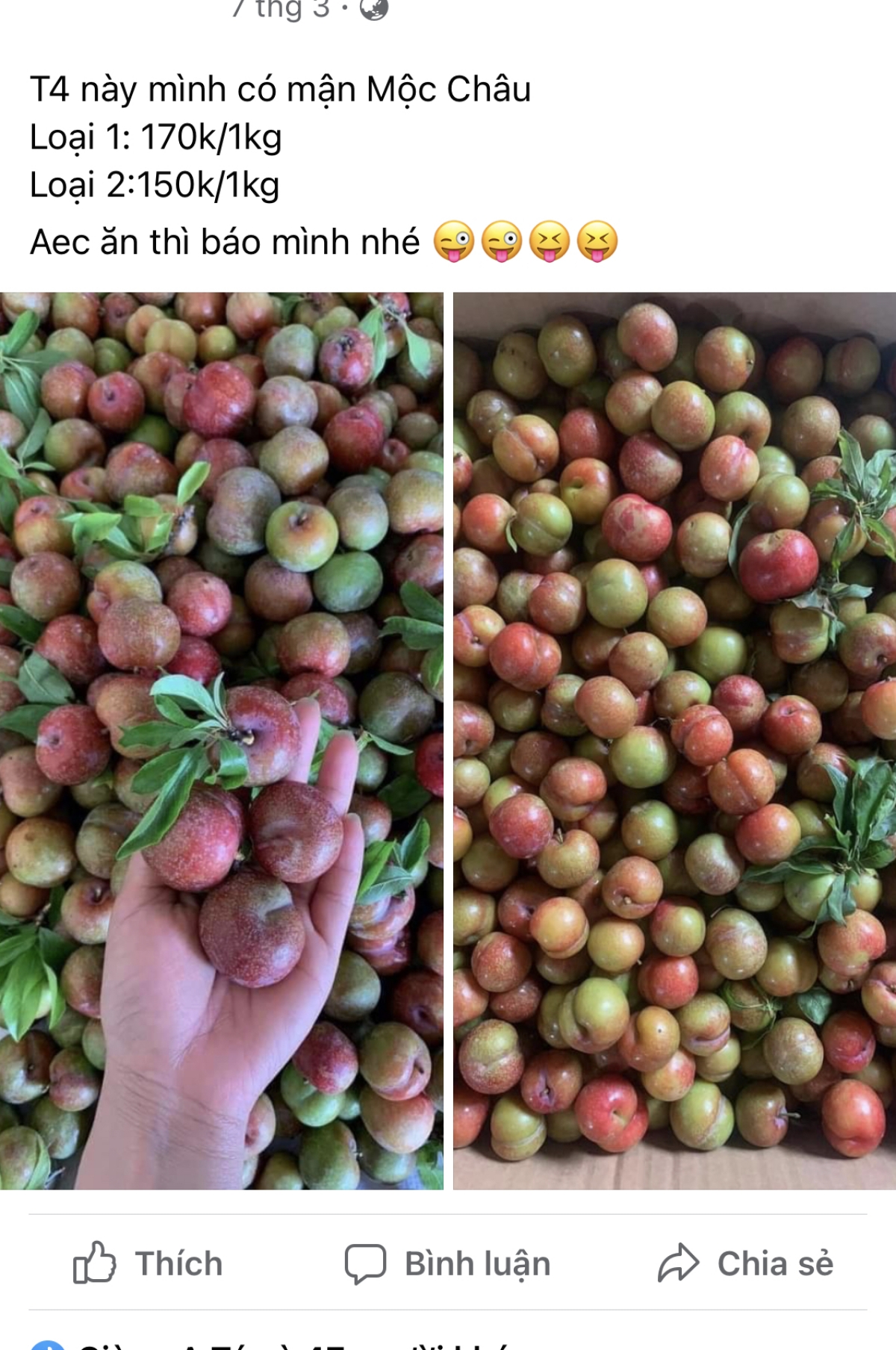 Mận hậu được chị Linh đăng bán trên trang cá nhân: (Ảnh chụp màn hình)