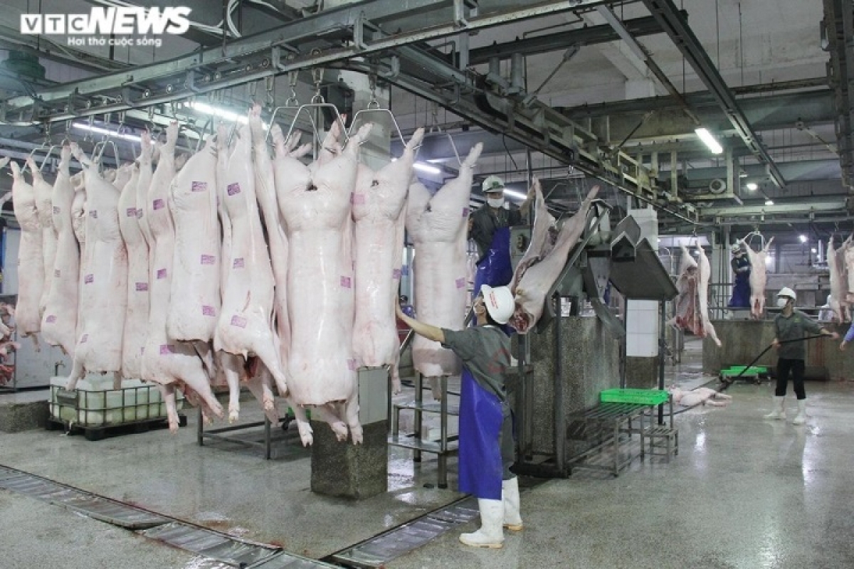 Giá heo thịt đang ở mức thấp, nhưng các lò mổ, thương lái đẩy giá bán lẻ rất cao khiến người tiêu dùng phải chịu thiệt.