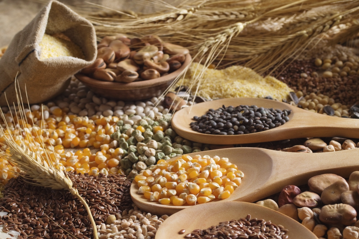 (Ảnh minh họa: world-grain.com)