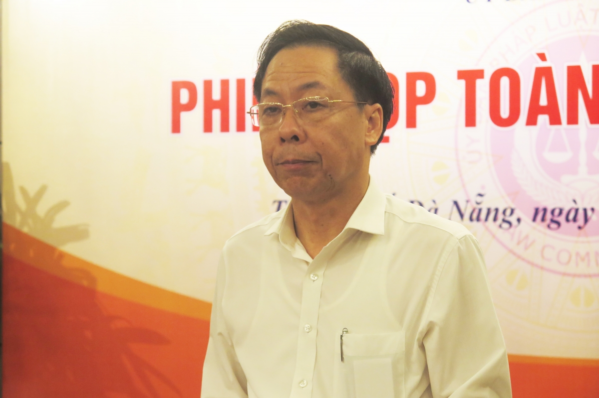 Ông Trần Ngọc Liêm, Phó Tổng Thanh tra Chính phủ