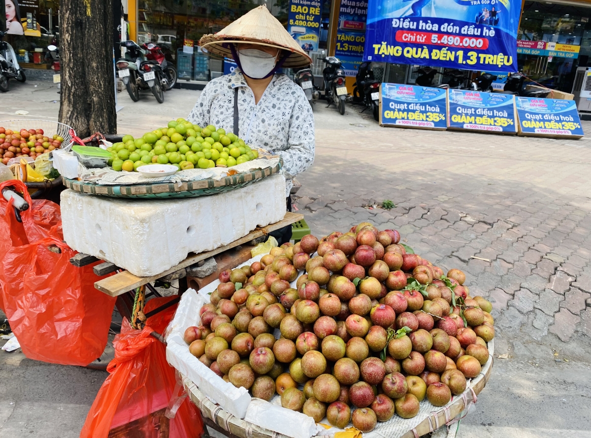Trên gánh hàng của chị Hiền chỉ bán toàn mận với các loại to nhỏ khác nhau được bày riêng mẹt.