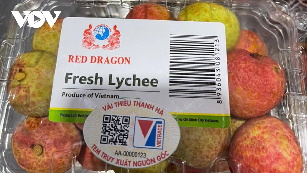 Vải thiều Thanh Hà lên sàn thương mại điện.