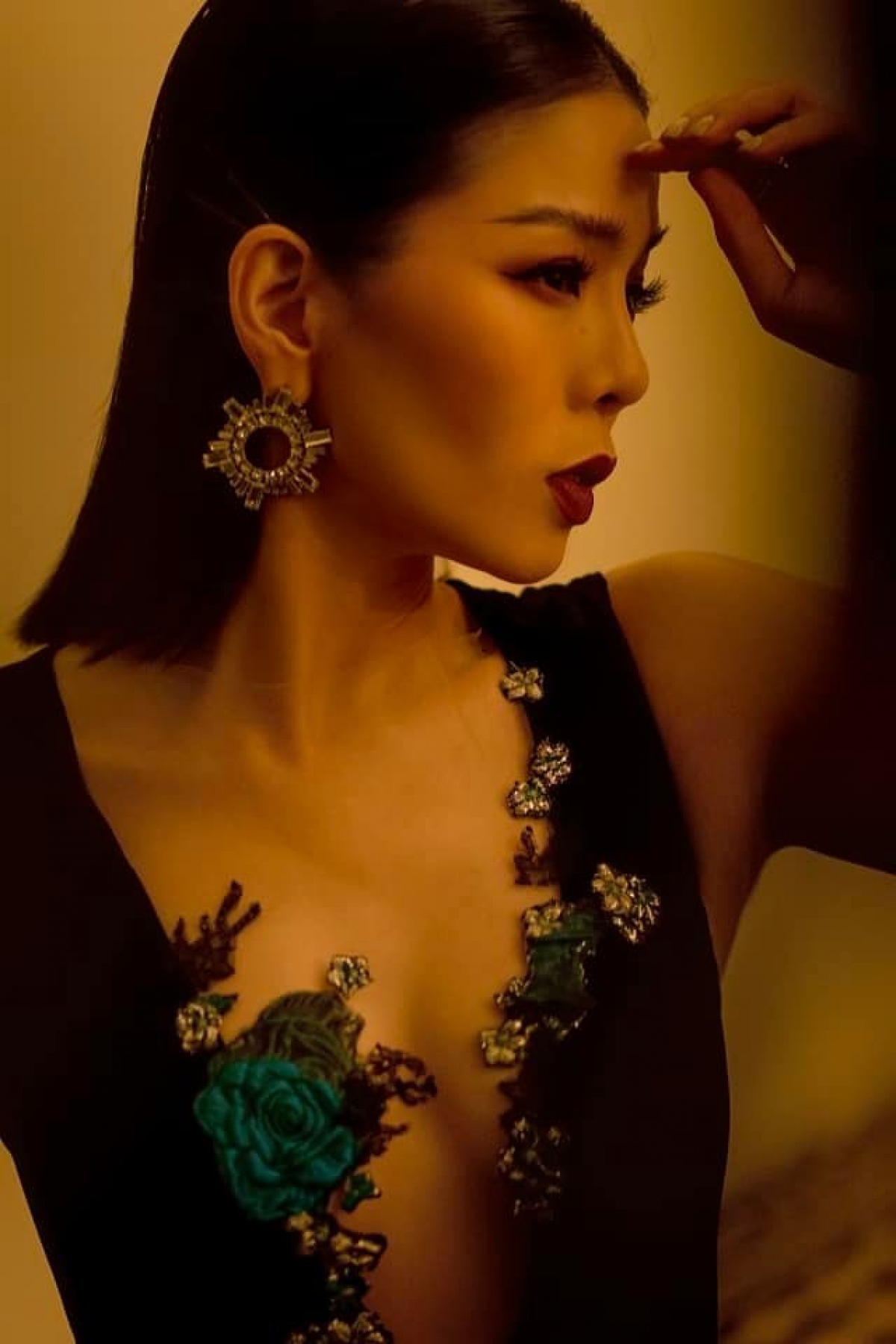 Ca sĩ Lệ Quyên