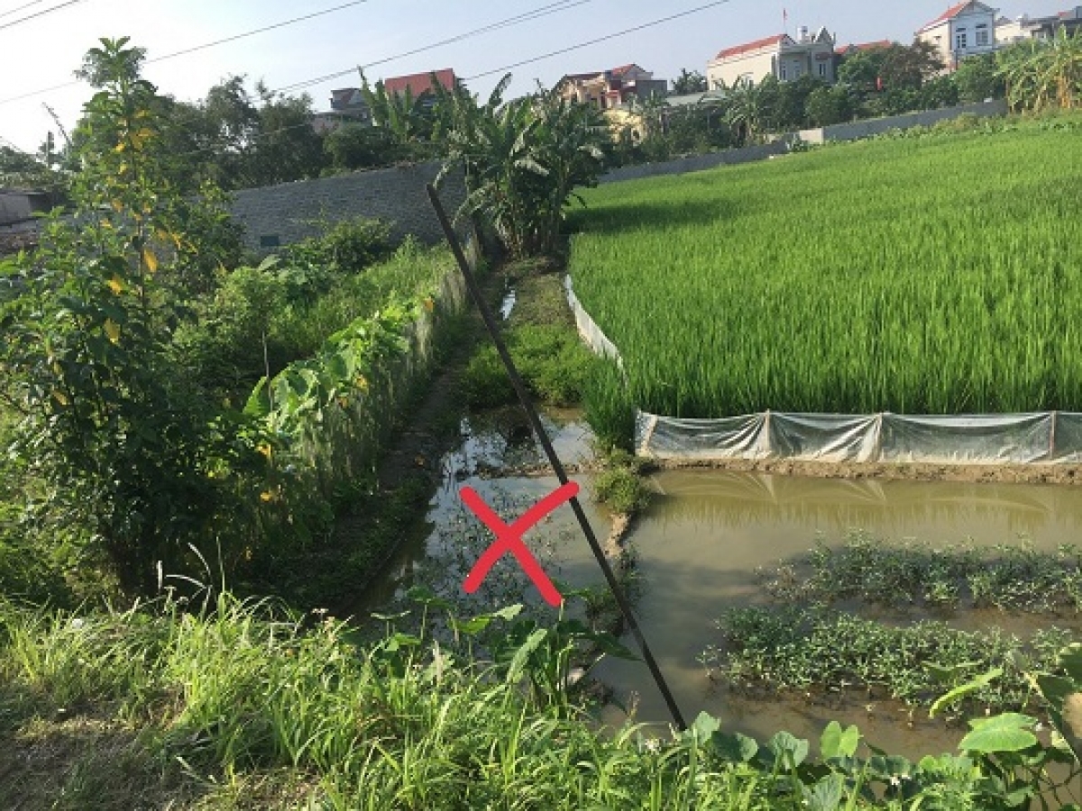 Hiện trường vụ việc