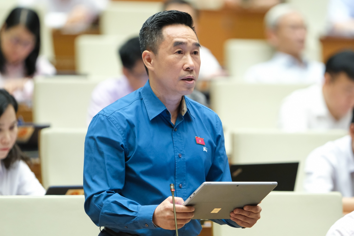 Đại biểu Nguyễn Hải Anh, đoàn Đồng Tháp.