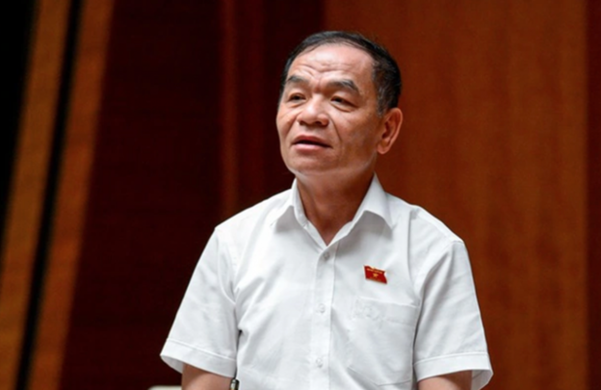 Đại biểu Lê Thanh Vân, đoàn ĐBQH tỉnh Cà Mau.