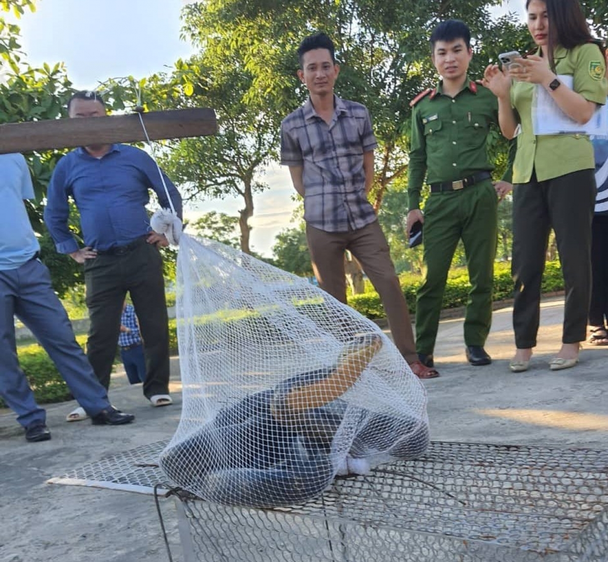 Cá thể rắn hổ mang chúa dài hơn 3m được phát hiện “đột nhập