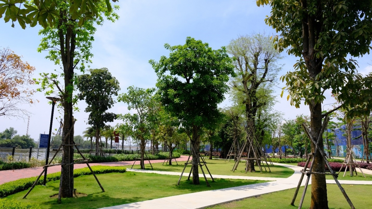 Tại Aqua City, các tiện ích công cộng được vận hành bằng năng lượng mặt trời.