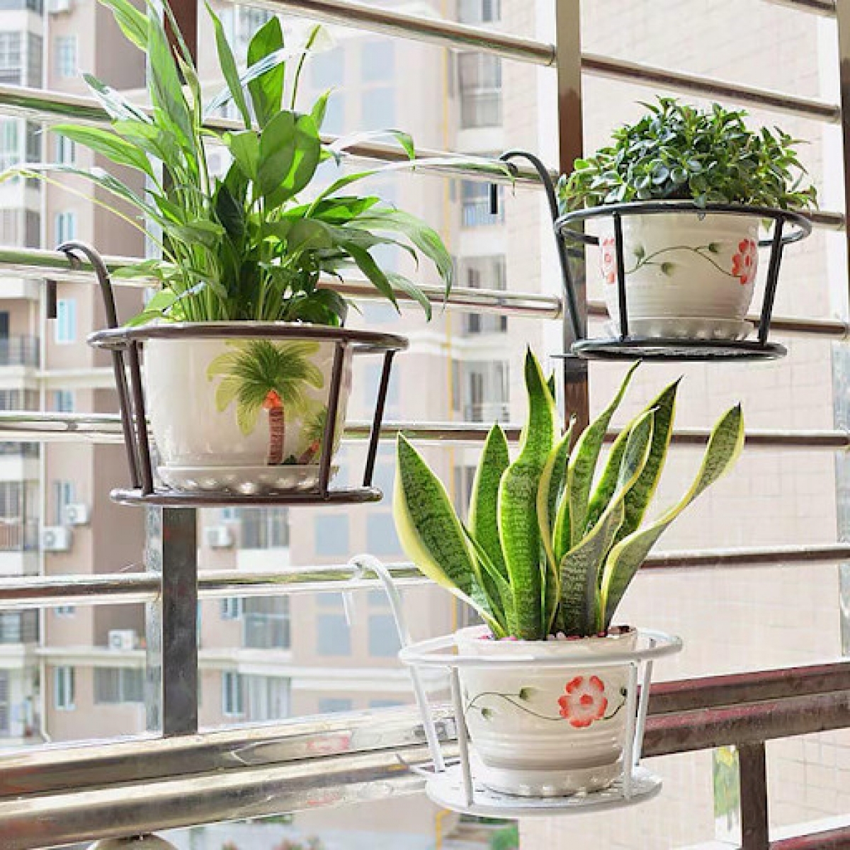 Đối với cửa sổ không có bệ, các bạn có thể treo bằng khung sắt và trồng cây. 