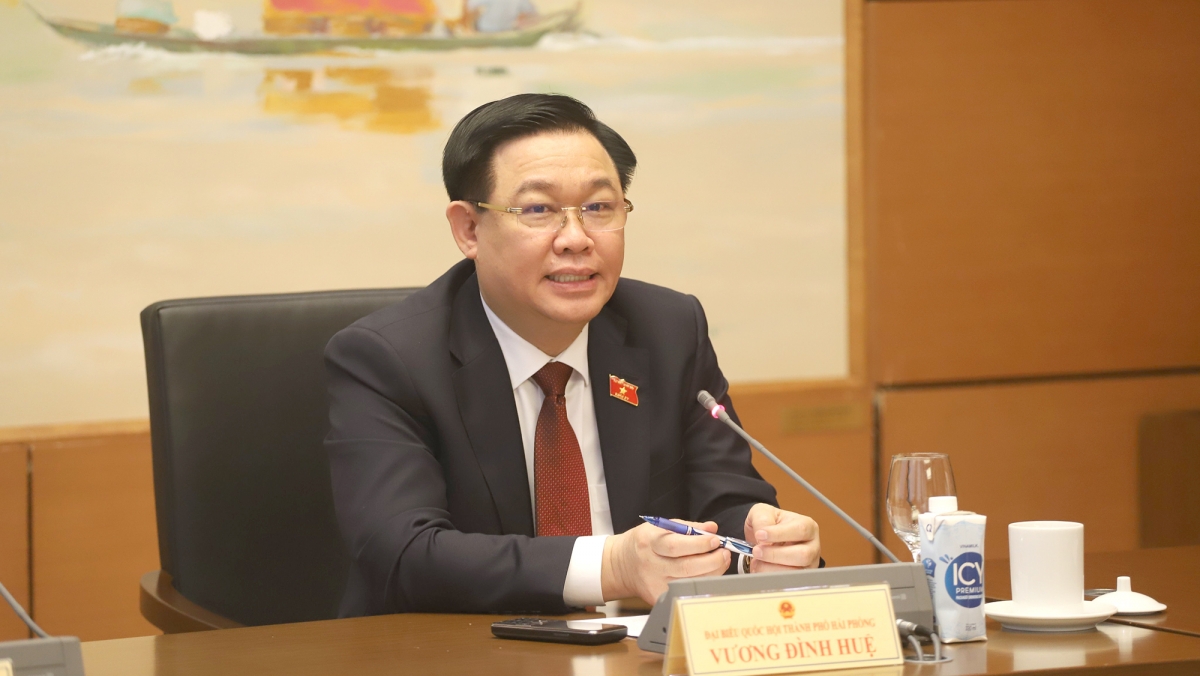 Chủ tịch Quốc hội Vương Đình Huệ phát biểu tại tổ.