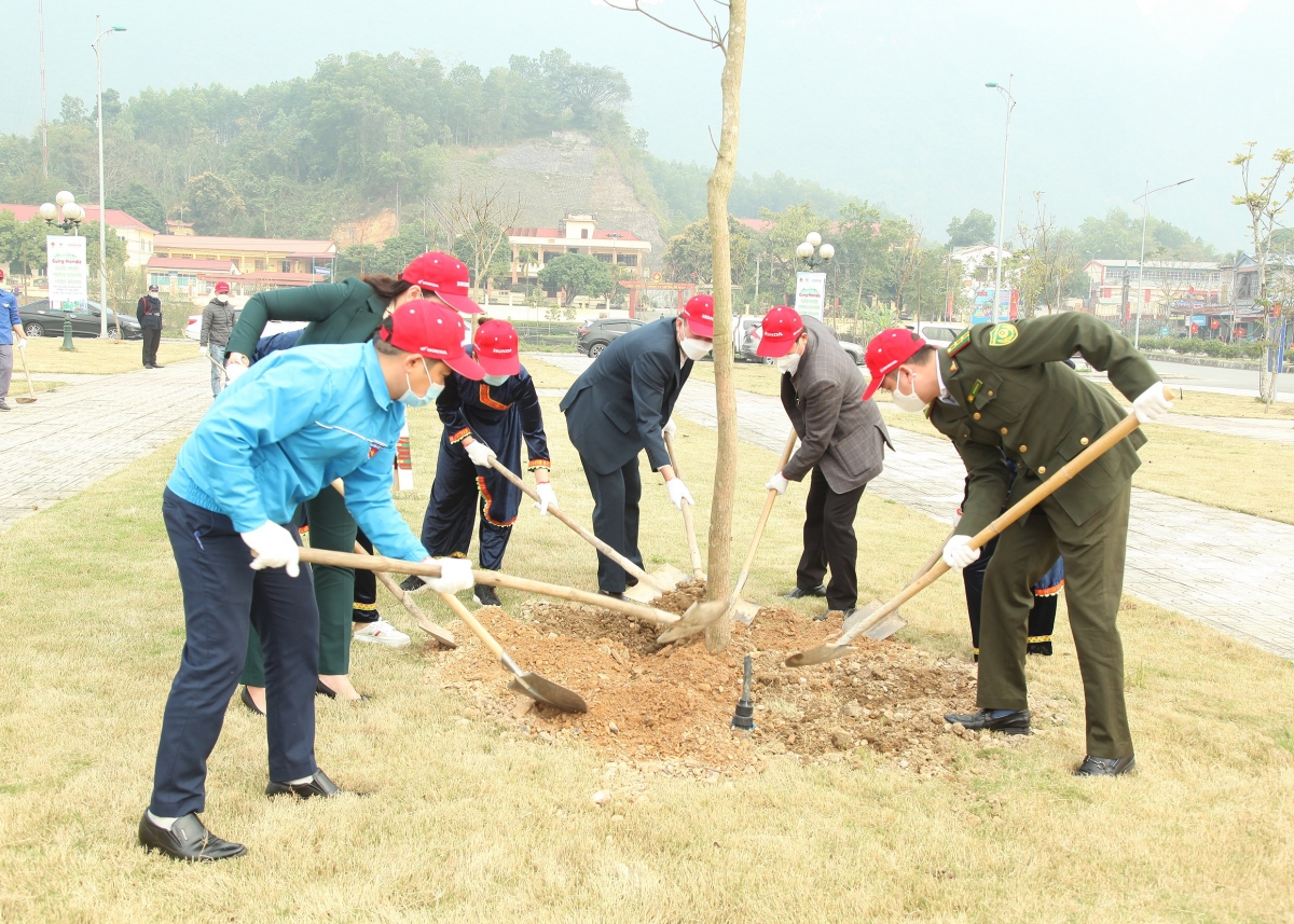 Đa dạng các loại cây xanh được trồng tại Công viên Cây xanh thuộc tỉnh Thái Nguyên.