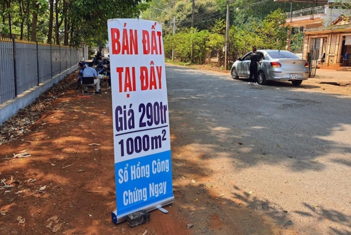 Giá đất thường xuyên bị thổi nhanh chóng bởi đội ngũ