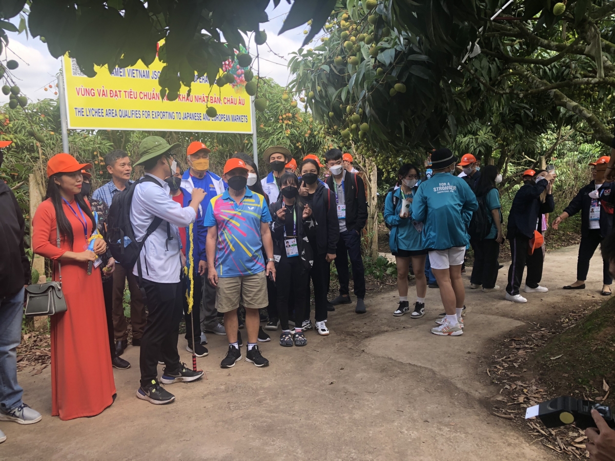 Các đại biểu tham gia tour du lịch vườn vải đặc trưng của tỉnh Hải Dương. Nguồn: Sở VHTT&DL Hải Dương