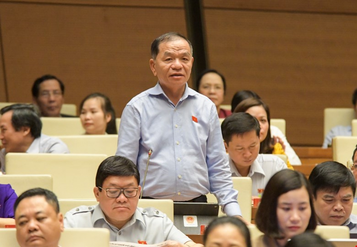 Đại biểu Quốc hội Lê Thanh Vân