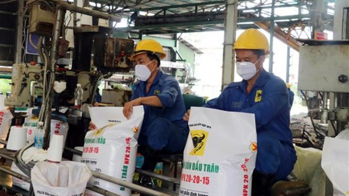 Giá các loại phân bón liên tục tăng cao do hầu hết nguyên liệu phải nhập khẩu với giá tăng mạnh.
Ảnh minh họa: TTXVN