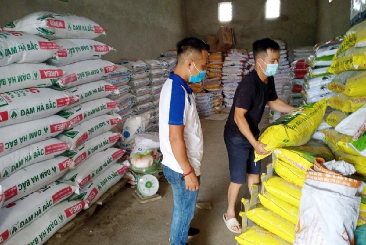Giá phân bón hiện cũng ở mức cao nhất trong 50 năm qua.