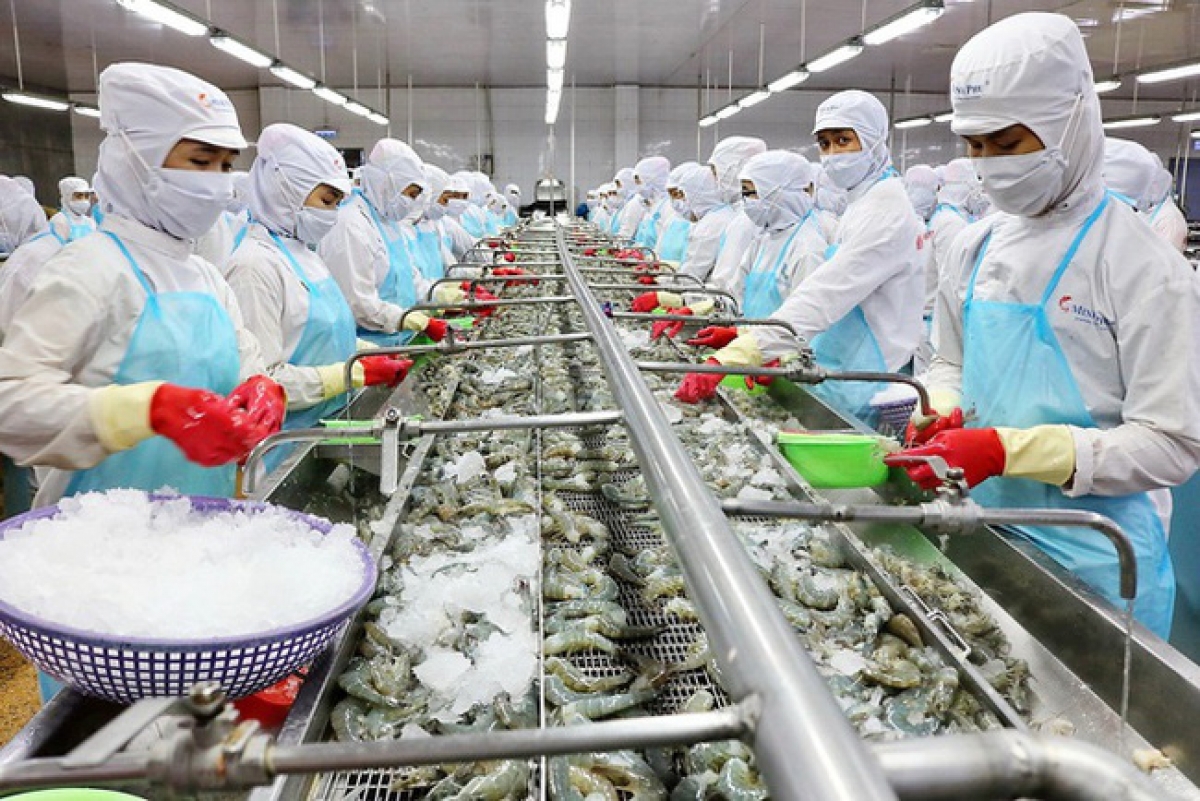 4 tháng đầu năm nay, kim ngạch xuất khẩu tôm đạt 1,4 tỷ USD.