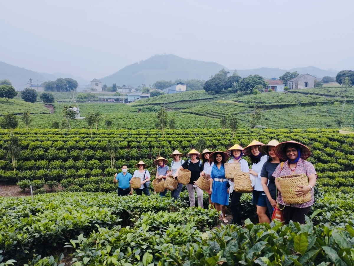 Du khách quốc tế đã quay trở lại Thái Nguyên. Ảnh: Bùi Trọng Đại
