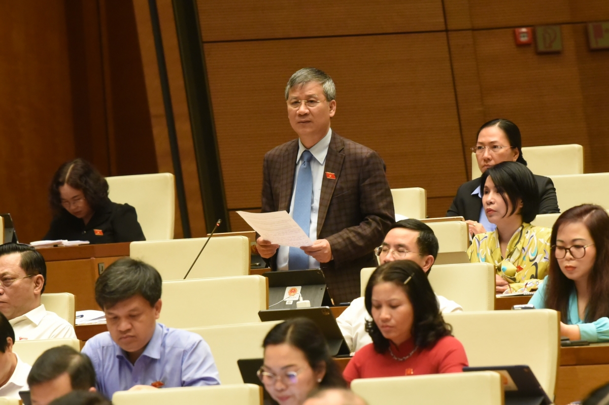 Đại biểu Nguyễn Anh Trí.