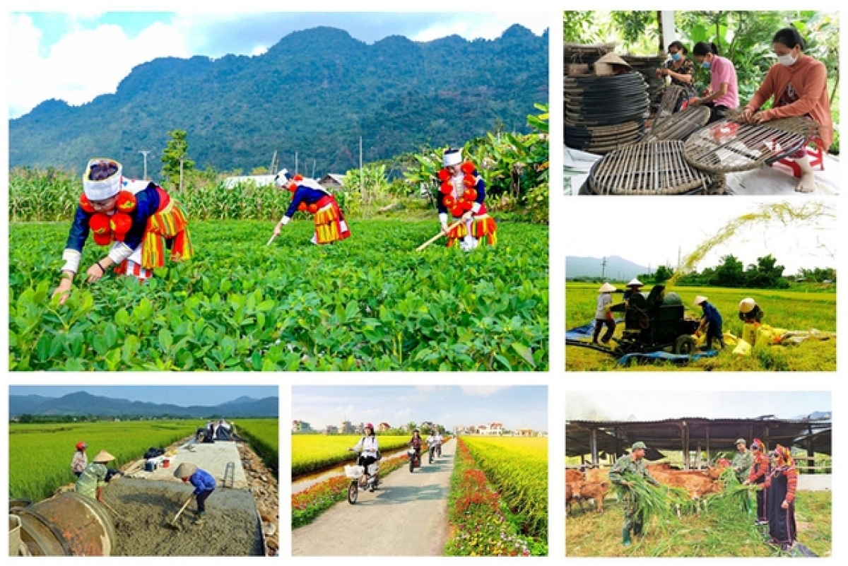 thủ tướng đôn đốc triển khai quyết liệt các chương trình mục tiêu quốc gia hình ảnh 1 thu tuong don doc trien khai quyet liet cac chuong trinh muc tieu quoc gia hinh anh 1