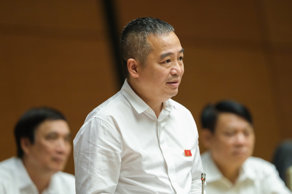 Đại biểu Nguyễn Lân Hiếu, đoàn Bình Định.