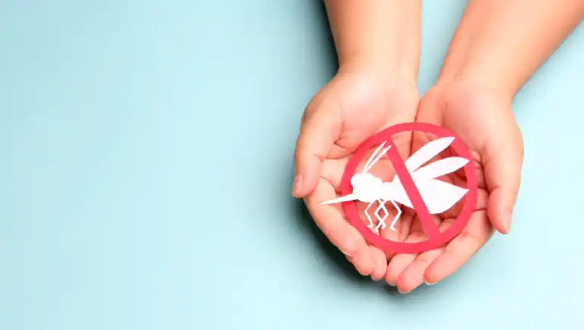 sốt xuất huyết gia tăng 6 cách hiệu quả để bảo vệ bản thân hình ảnh 1 sot xuat huyet gia tang 6 cach hieu qua de bao ve ban than hinh anh 1