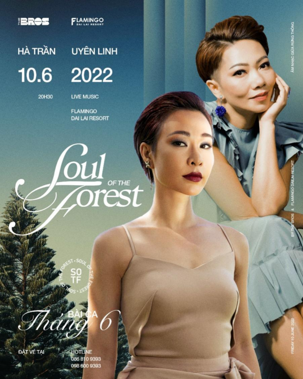 soul of the forest chuỗi đêm nhạc đỉnh cao giữa thiên nhiên Đại lải hình ảnh 1 soul of the forest chuoi dem nhac dinh cao giua thien nhien Dai lai hinh anh 1
