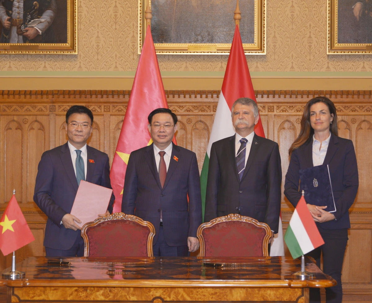 chu tich quoc hoi hungary don, hoi dam voi chu tich quoc hoi vuong Dinh hue hinh anh 3