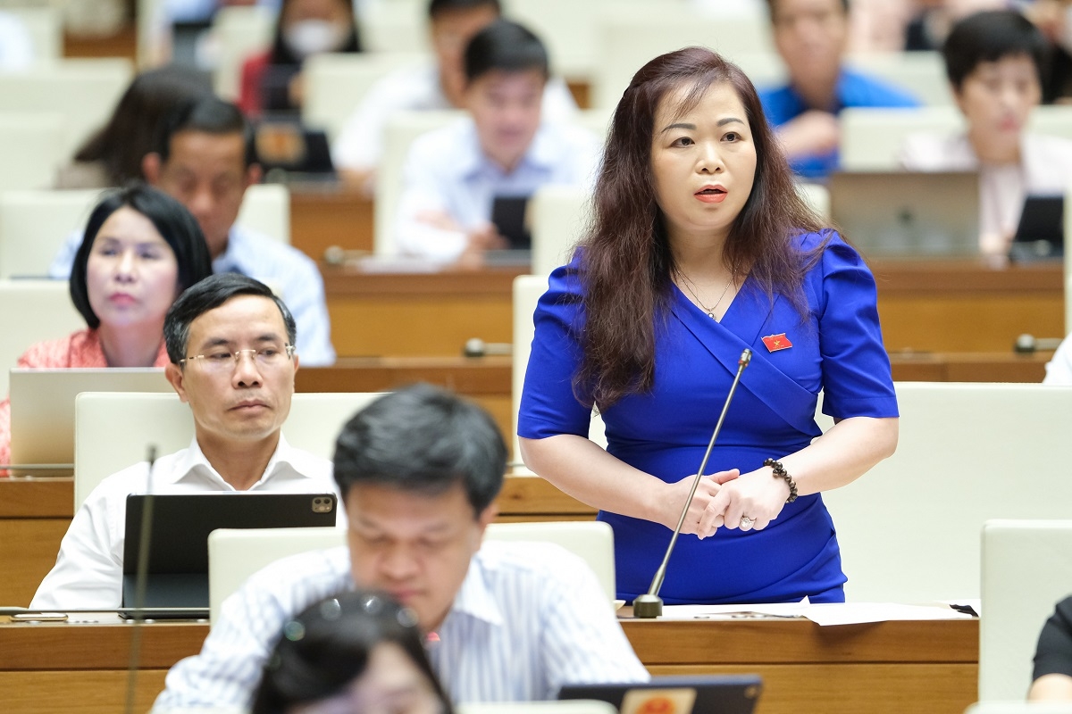 Đầu tư dầu khí cân nhắc lợi ích quốc gia, không thu hút bằng mọi giá hình ảnh 1 Dau tu dau khi can nhac loi ich quoc gia, khong thu hut bang moi gia hinh anh 1