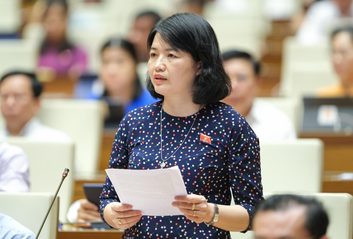 Đại biểu Nguyễn Thị Mai Thoa, đoàn Hải Dương.