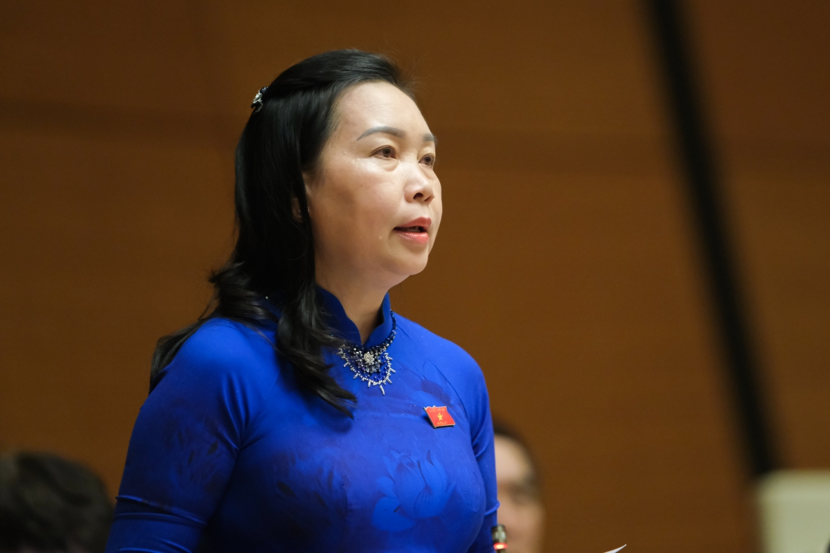 Đại biểu Lý Tiết Hạnh, đoàn Bình Định.