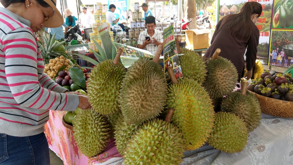 Đồng nai xây dựng vùng nguyên liệu trái cây cho chế biến sâu hình ảnh 1 Dong nai xay dung vung nguyen lieu trai cay cho che bien sau hinh anh 1