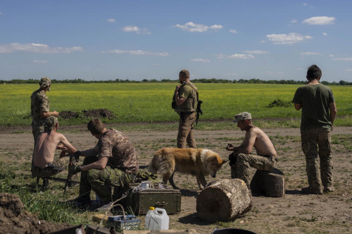 Ong zelensky so phan donbass duoc quyet dinh trong tran chien o severodonetsk hinh anh 1