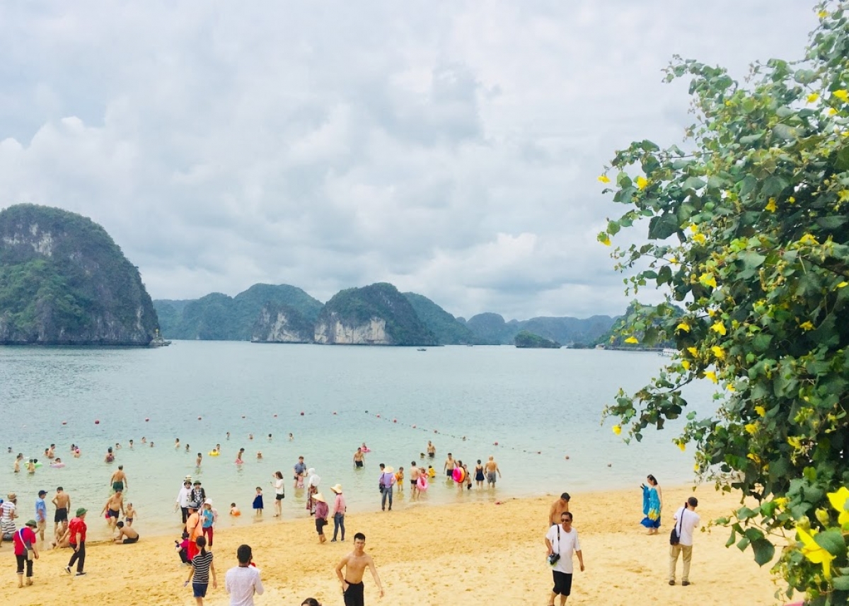 vịnh hạ long đón lượng khách kỷ lục kể từ khi mở cửa trở lại hình ảnh 1 vinh ha long don luong khach ky luc ke tu khi mo cua tro lai hinh anh 1