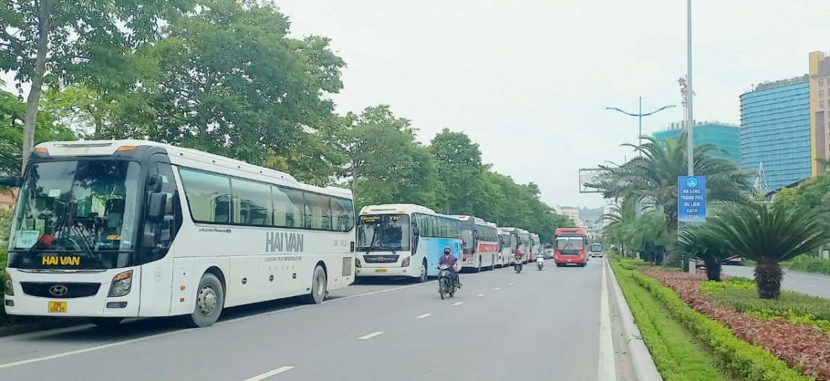 nhộn nhịp mùa du lịch hè quảng ninh như thời trước đại dịch hình ảnh 1 nhon nhip mua du lich he quang ninh nhu thoi truoc dai dich hinh anh 1