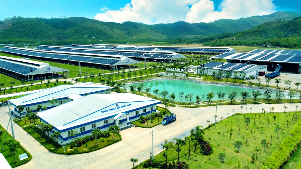 vinamilk green farm-mô hình trang trại bò sữa phát triển bền vững hình ảnh 1 vinamilk green farm-mo hinh trang trai bo sua phat trien ben vung hinh anh 1