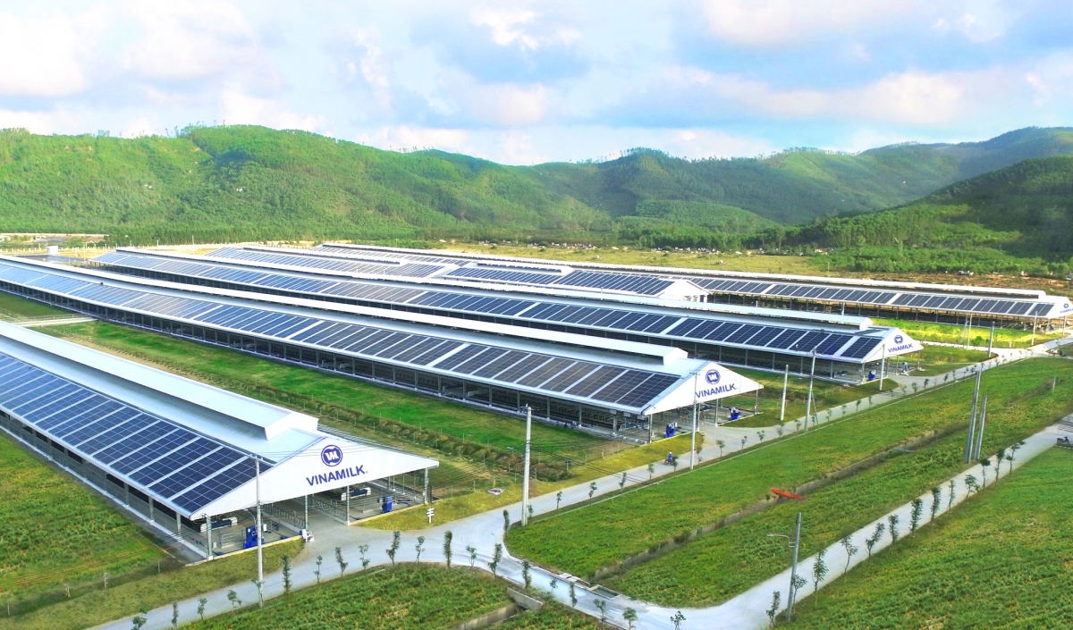 vinamilk green farm-mo hinh trang trai bo sua phat trien ben vung hinh anh 4
