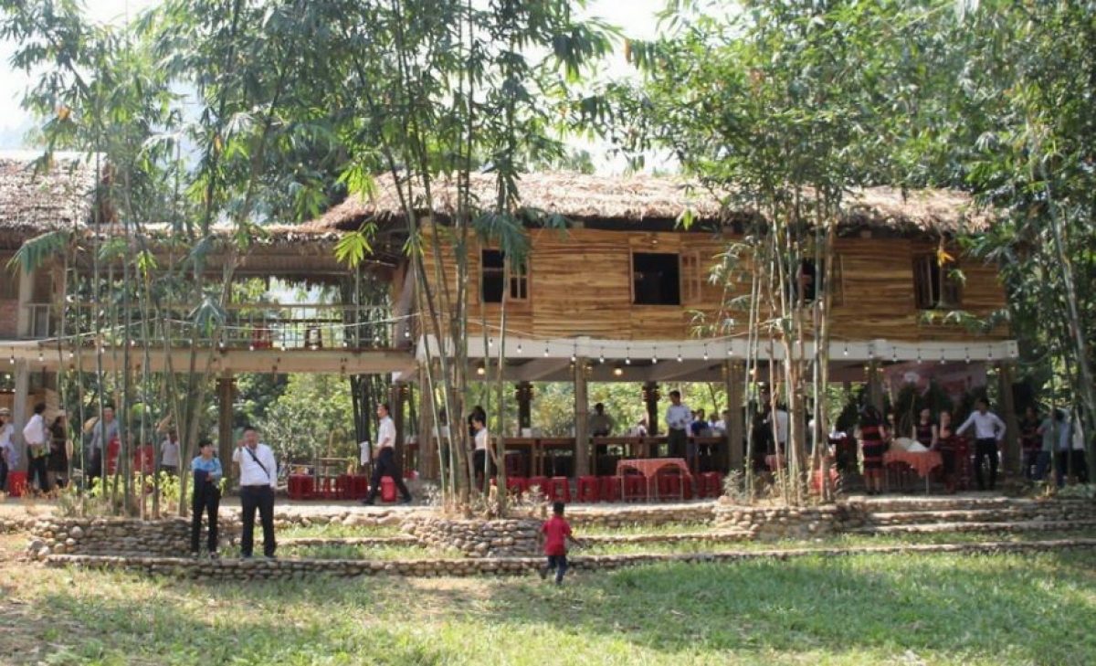 Đà nẵng thí điểm phát triển dịch vụ du lịch gắn với nông nghiệp hình ảnh 1 Da nang thi diem phat trien dich vu du lich gan voi nong nghiep hinh anh 1