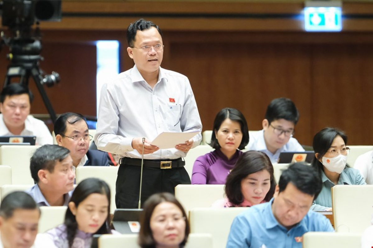 Đại biểu Huỳnh Thanh Phương.