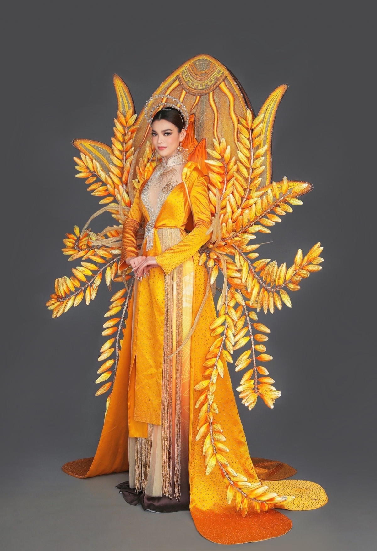 tran Dai mang kim thuc hat lua ninh binh den hoa hau chuyen gioi 2022 hinh anh 2