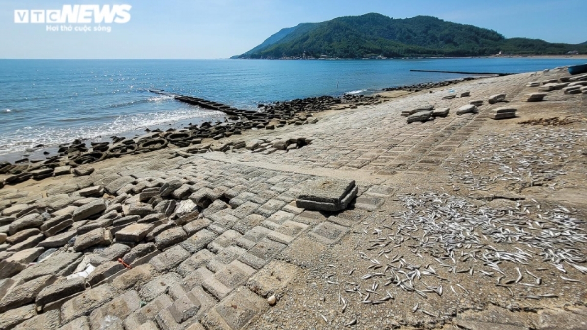 Thế nhưng, lãnh đạo địa phương cho rằng việc sửa chữa, nâng cấp không đạt nhiều hiệu quả. (Ảnh: Trọng Tùng)