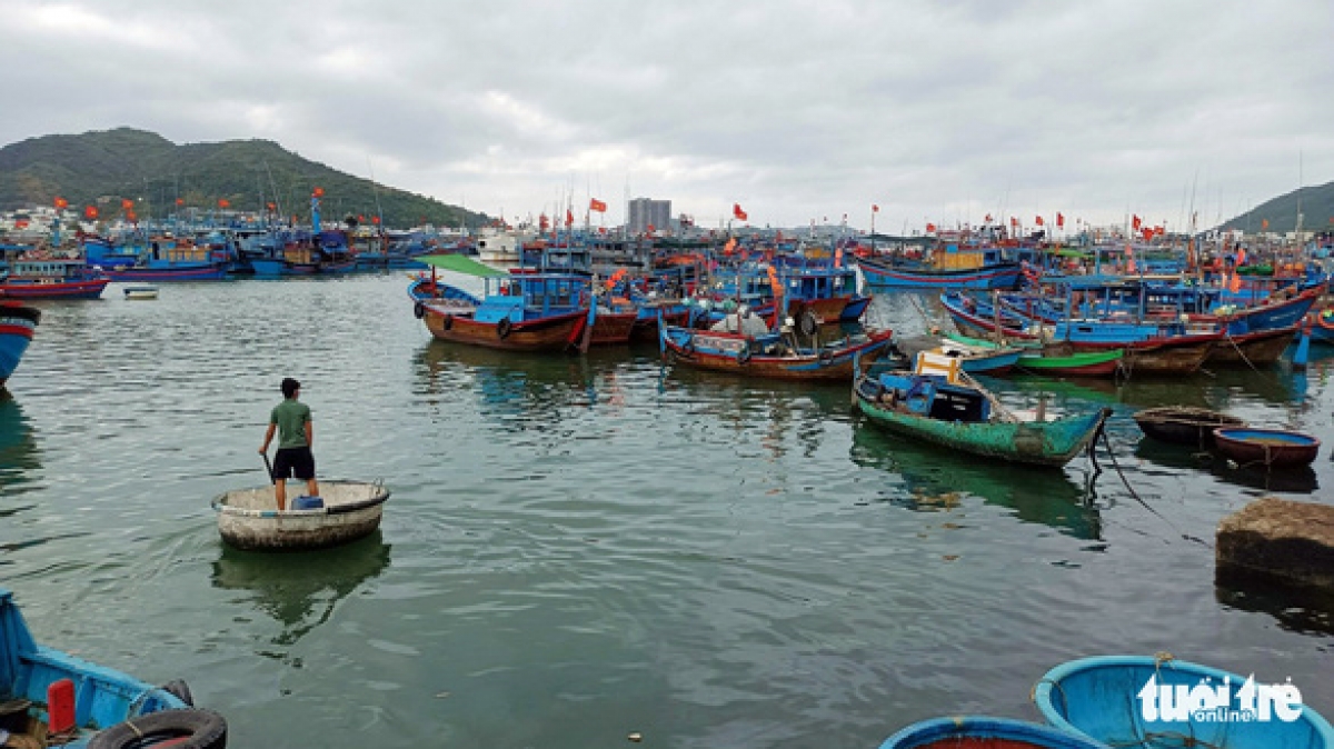 tàu cá nằm bờ, chờ giá dầu giảm hình ảnh 1 tau ca nam bo, cho gia dau giam hinh anh 1