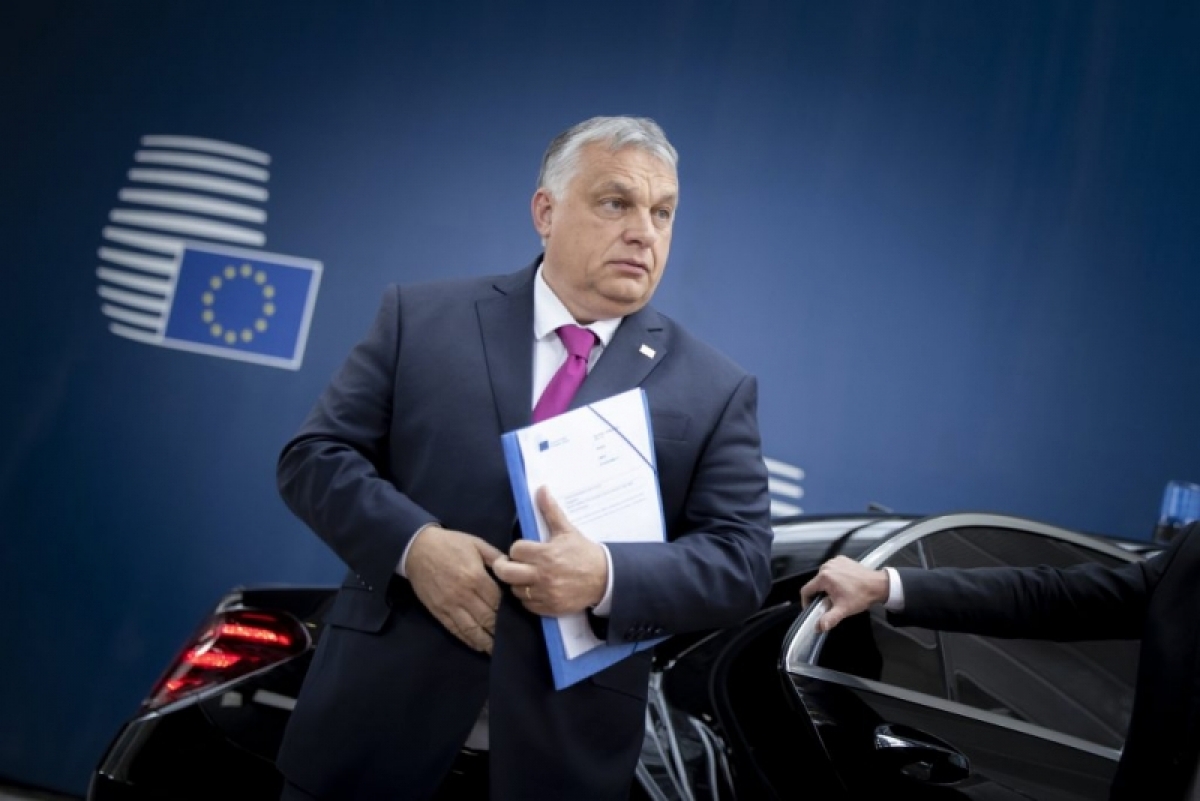 hungary kéo dài quy định giới hạn giá thực phẩm và xăng dầu đến 1 10 hình ảnh 1 hungary keo dai quy dinh gioi han gia thuc pham va xang dau den 1 10 hinh anh 1