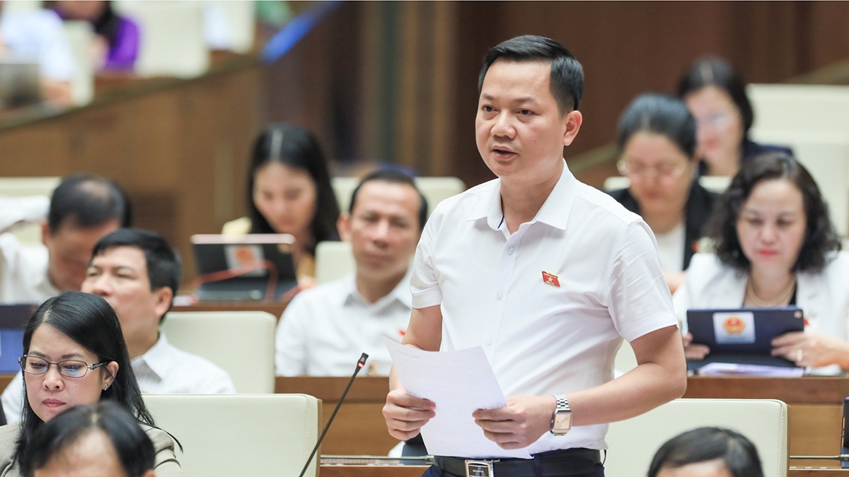 Đại biểu quốc hội chế định thanh tra nhân dân là cực kỳ hình thức hình ảnh 1 Dai bieu quoc hoi che dinh thanh tra nhan dan la cuc ky hinh thuc hinh anh 1