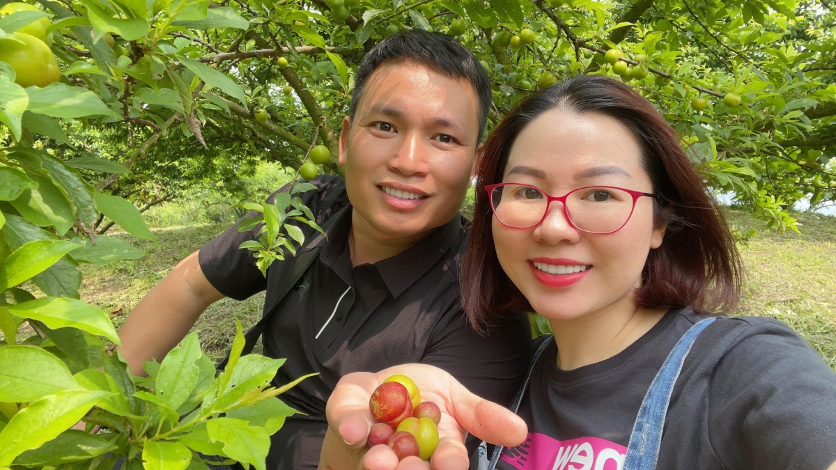 cau chuyen buon thung ban met thu vi cua ceo ha thanh binh hinh anh 3