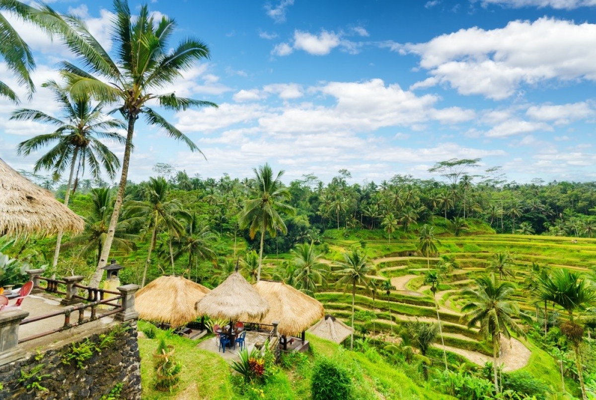 hang tram lang du lich tao diem tua moi cho indonesia hinh anh 3