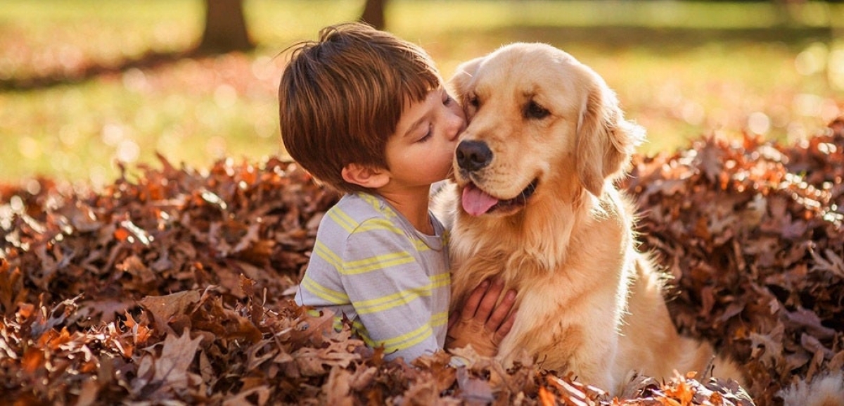 lợi ích khi cho con nuôi thú cưng hình ảnh 1 loi ich khi cho con nuoi thu cung hinh anh 1