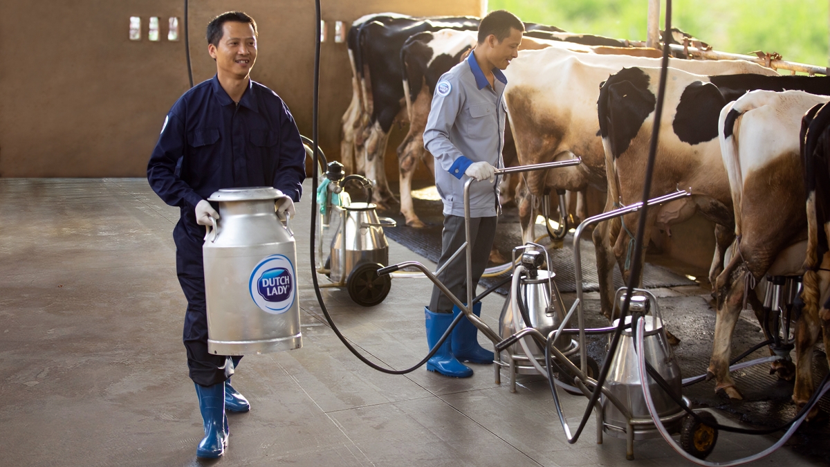 frieslandcampina thanh cong nho con duong phat trien ben vung hinh anh 2