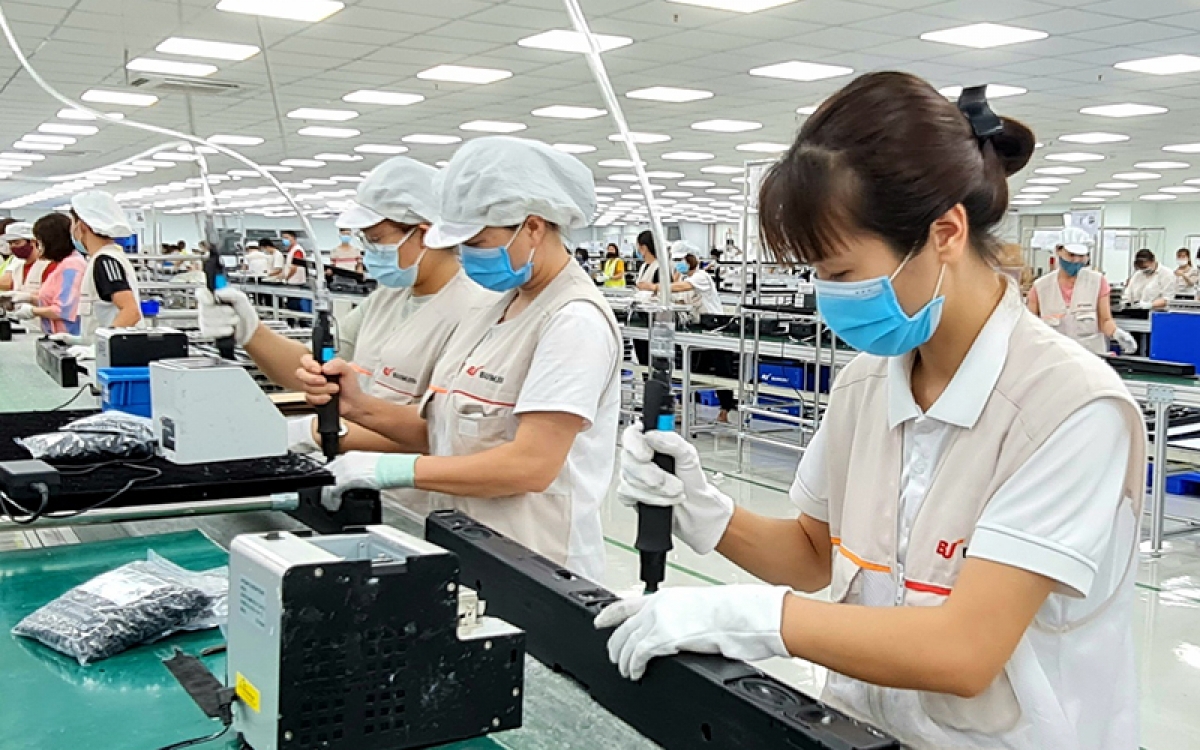 nhiều doanh nghiệp châu Âu mong muốn đầu tư tại tp.hcm hình ảnh 1 nhieu doanh nghiep chau Au mong muon dau tu tai tp.hcm hinh anh 1